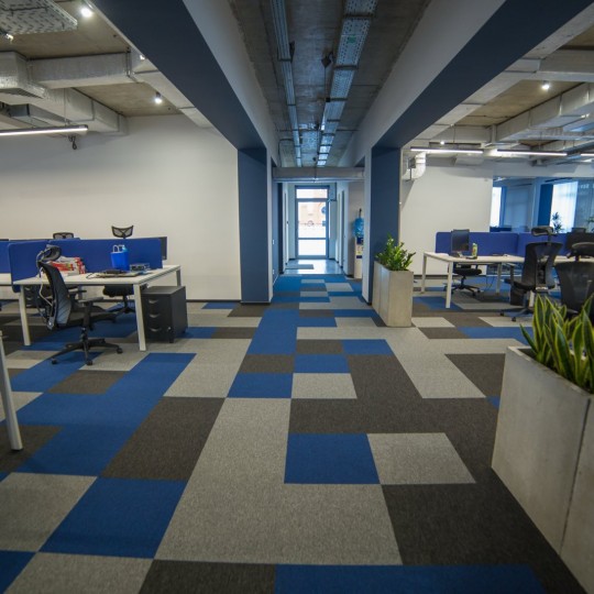 Karo Halı (Hollanda Stok)